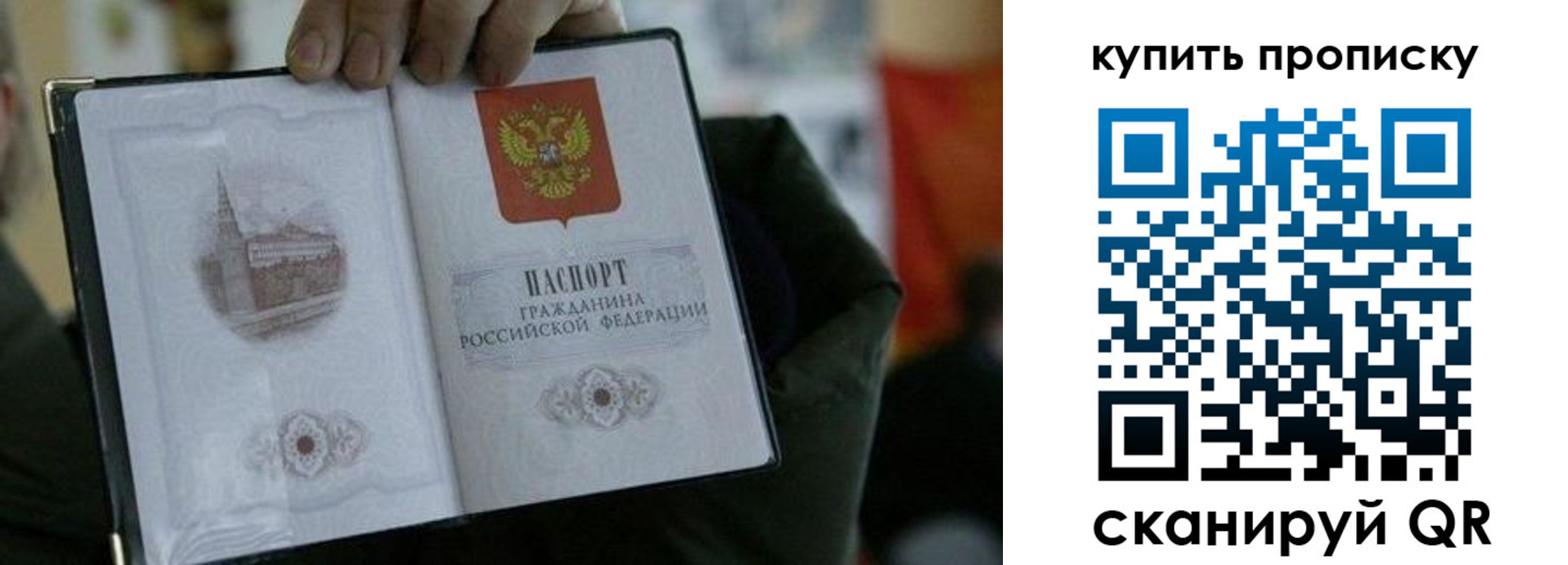 временная регистрация поиск в Шилке